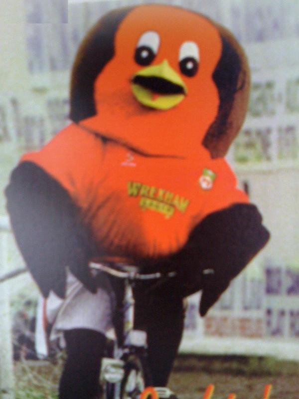 An Emotional Appeal: Rockin’ Robin’s costume